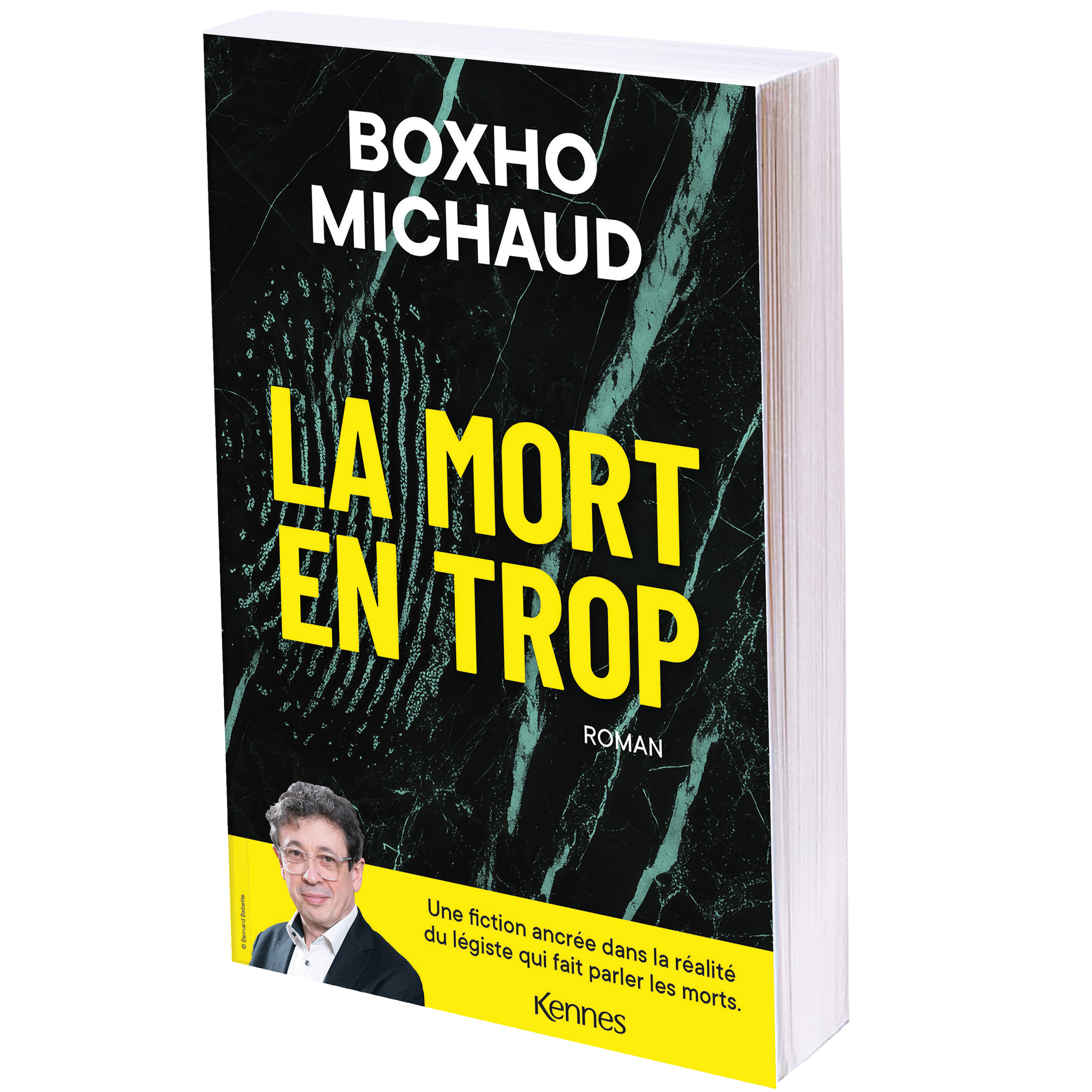 MICHAUD_BOXHO_MORT_TROP_SIMULATION_SITE